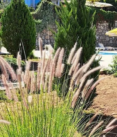 Lejlighed Orka Garden Fethiye Cedit